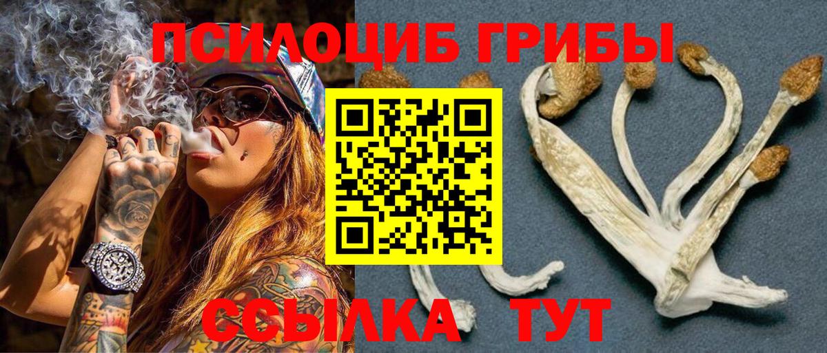Галлюциногенные грибы Cubensis Нижнекамск